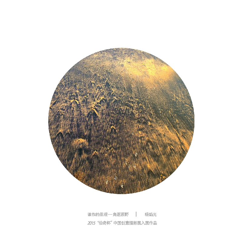 071-谁做的景观4-2015“伯奇杯”中国创意摄影展入展作品-作者：杨焰光