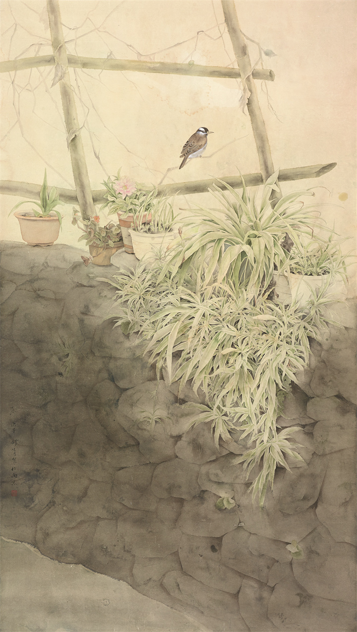 舒菁.jpg