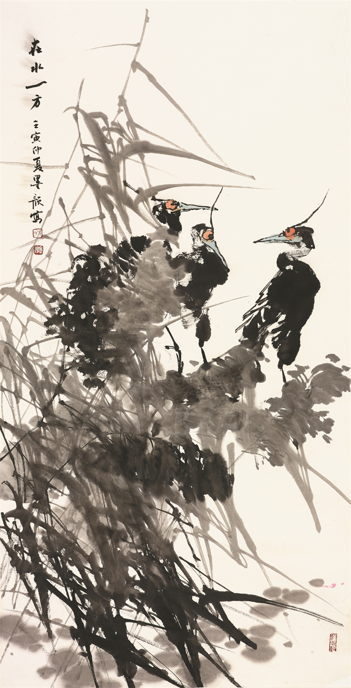 孙晴晴.jpg