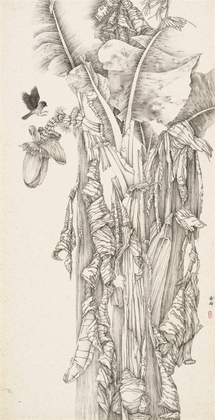 张未雨.jpg