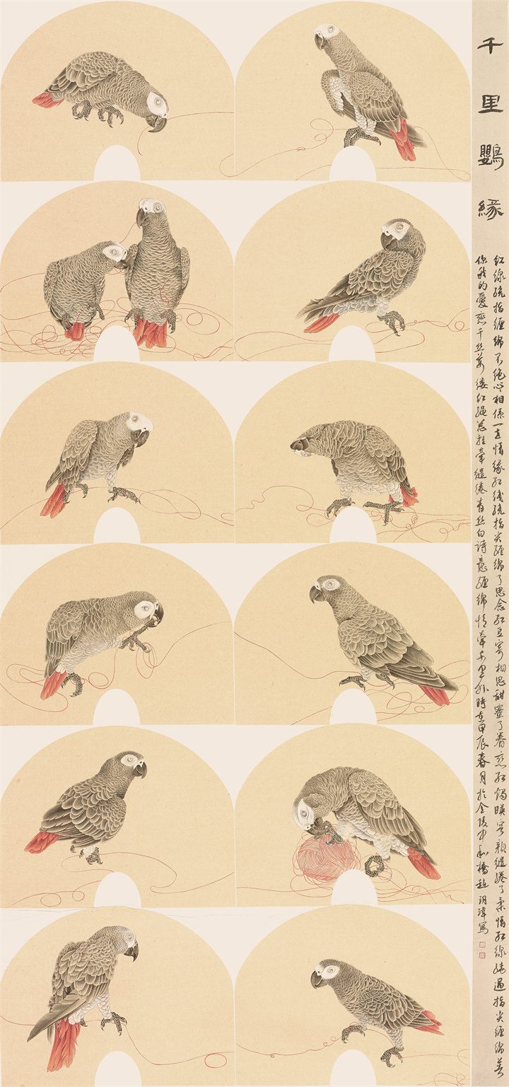 赵玥玮.jpg