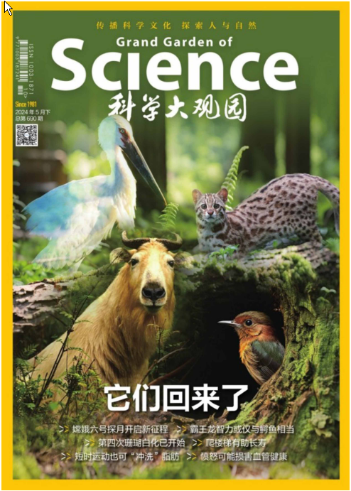 期刊架位号[1218]