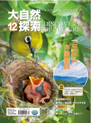 期刊架位号[1229]