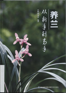 养兰从新手到高手