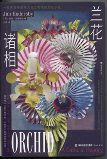 兰花诸相